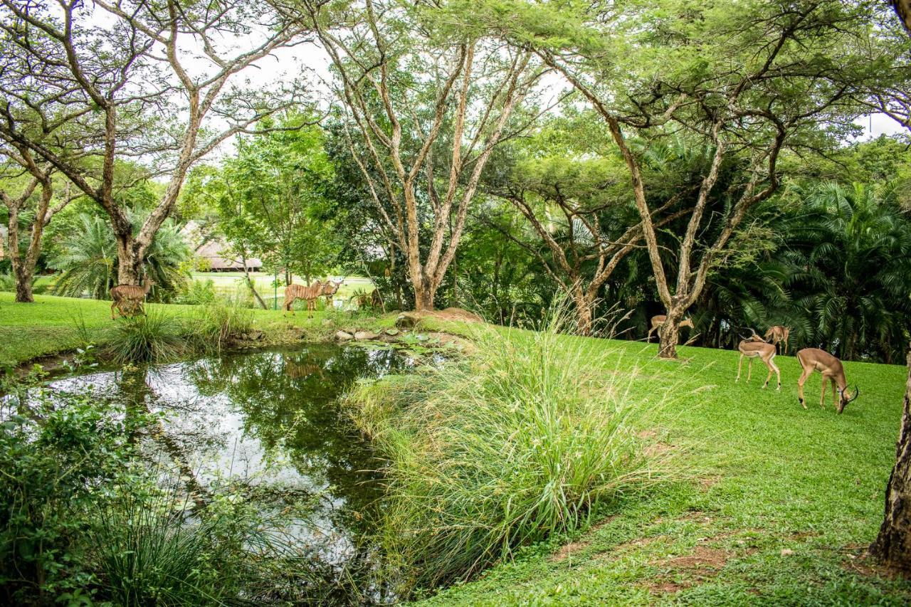 อินยามาทาน 227บี ครูเกอร์ พาร์ค ลอดจ์ Villa เฮซีวิว ภายนอก รูปภาพ